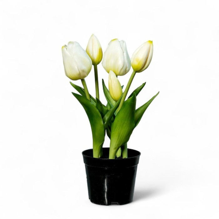 PIANTINA 5 TULIPANI REAL TOUCH H25 BIANCO